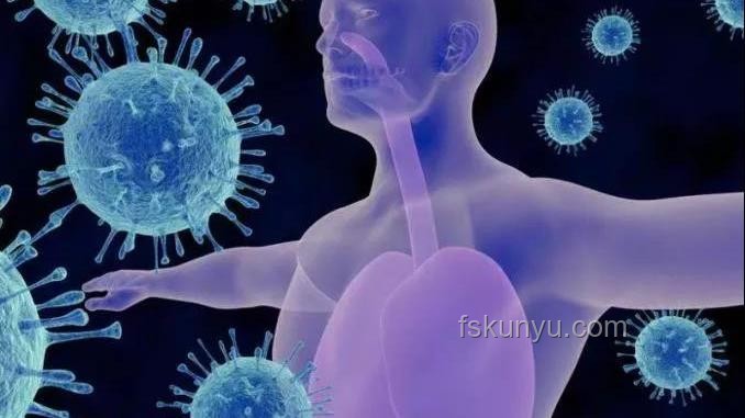 人类与螨虫共存的奥秘